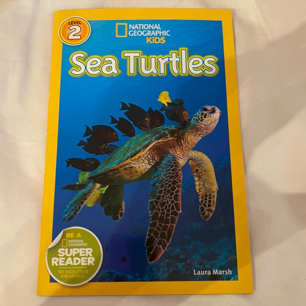 National Geographic Kids Sea Turtles